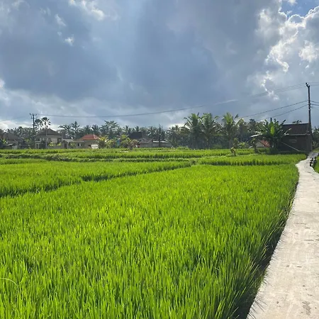 Antira Private Villa Ubud Exterior photo